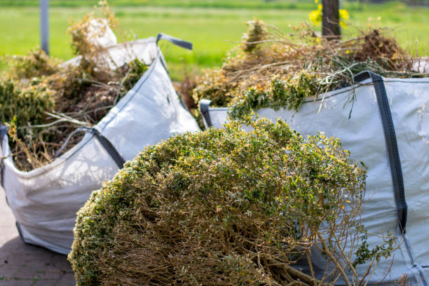Best Construction Debris Removal  in Surgoinsville, TN